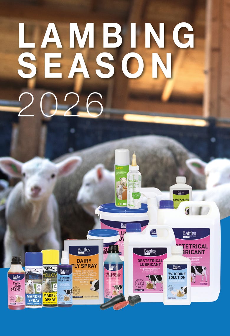 Lambing banner Lincoln?width=500